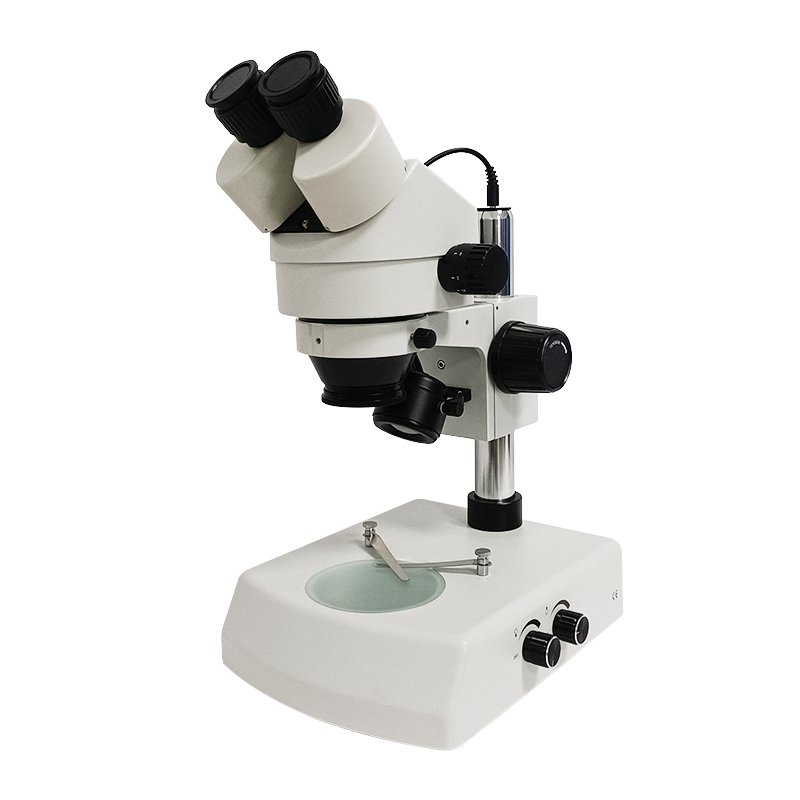 透射底光源双目显微镜