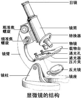 如何选购显微镜？电子显微镜、光学显微镜、金相显微镜、生物显微镜不知道怎么选？—2021显微镜推荐(图1)